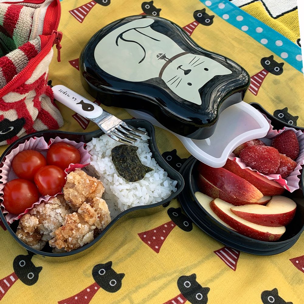 Everyday plates - Cat Mug and Bento Box - ATSUKO MATANO PARIS
