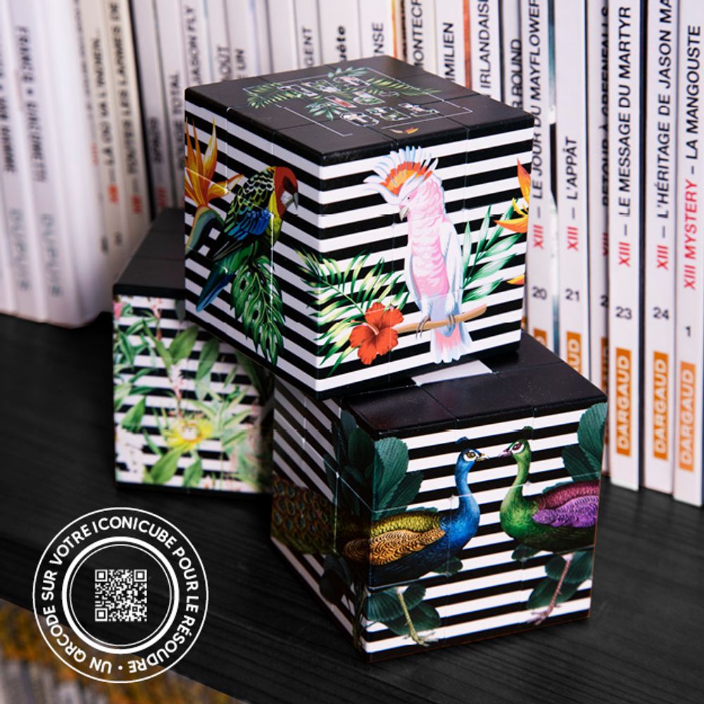 Objets design - ICONICBOX 70 ARTCOLLECTION. - ICONICUBE