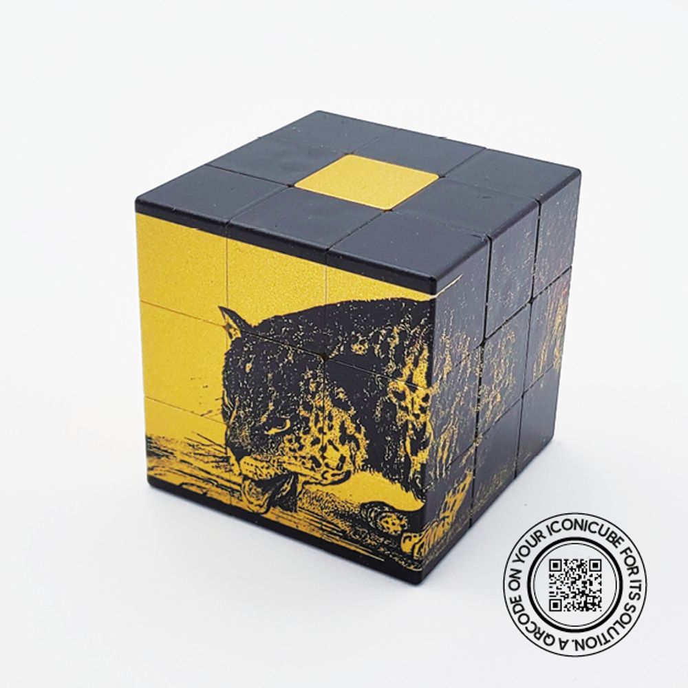 Objets design - ICONICBOX 70 ARTCOLLECTION. - ICONICUBE