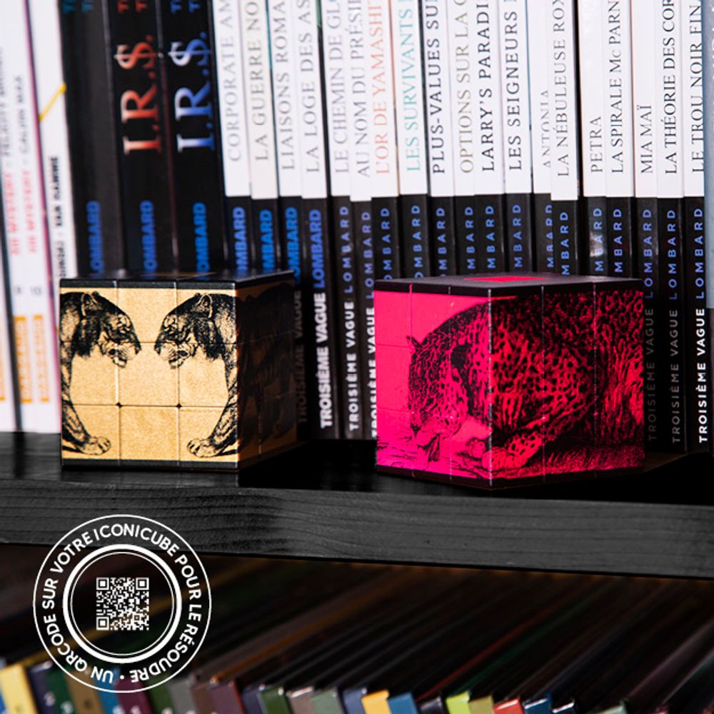 Objets design - ICONICBOX 24 ARTCOLLECTION - ICONICUBE