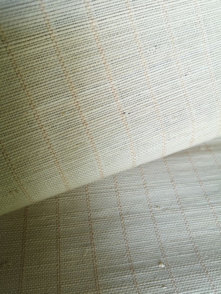Upholstery fabrics - EVASION raffia fabric - BISSON BRUNEEL
