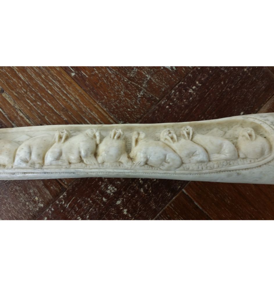 Objets de décoration - Os pénien de Morse - JD PRODUCTION - JD CO MARINE