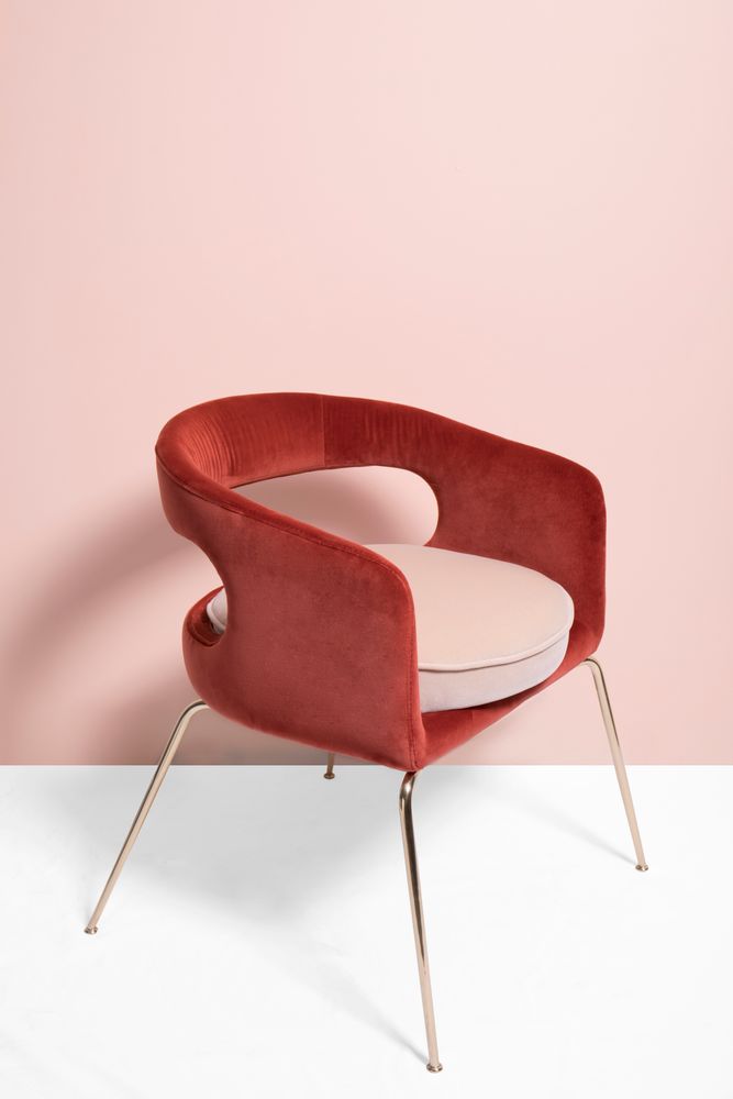 Chairs for hospitalities & contracts - Ellen | Dining Chair - ESSENTIAL HOME