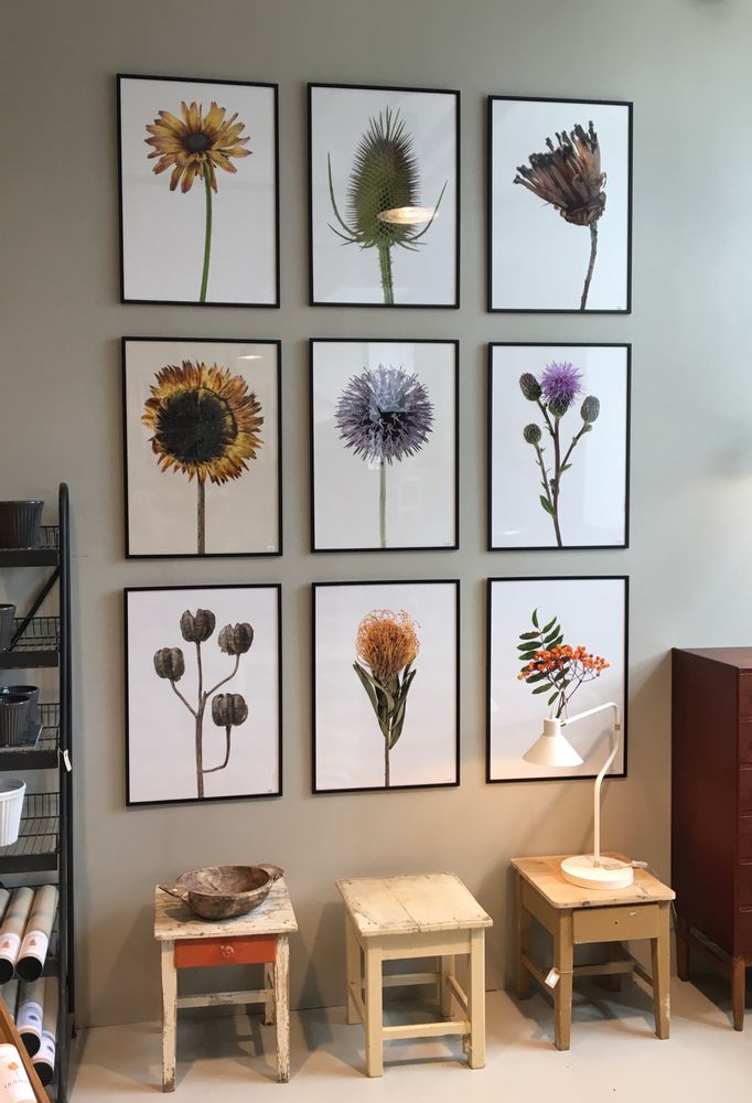 Frames - Frames - LILJEBERGS