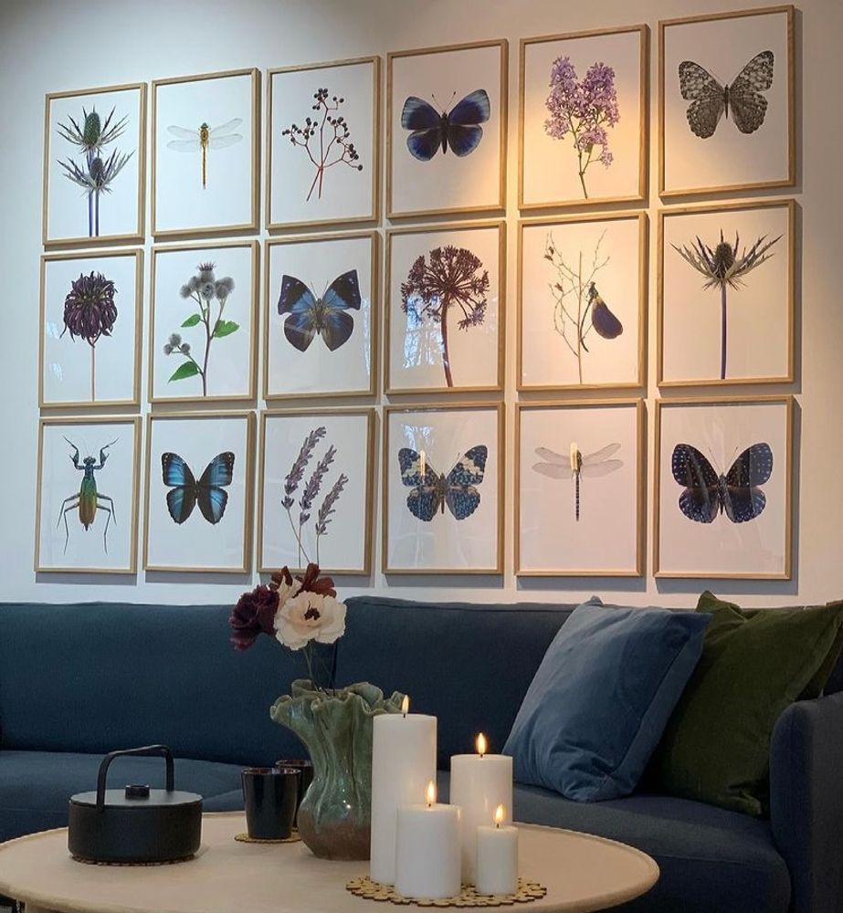 Frames - Framed art prints - LILJEBERGS