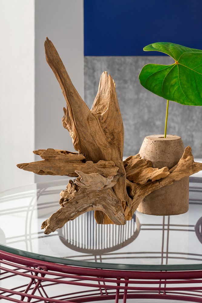 Unique pieces - CEBU HOMECRAFT Driftwood Planter - DESIGN PHILIPPINES OBJECTS