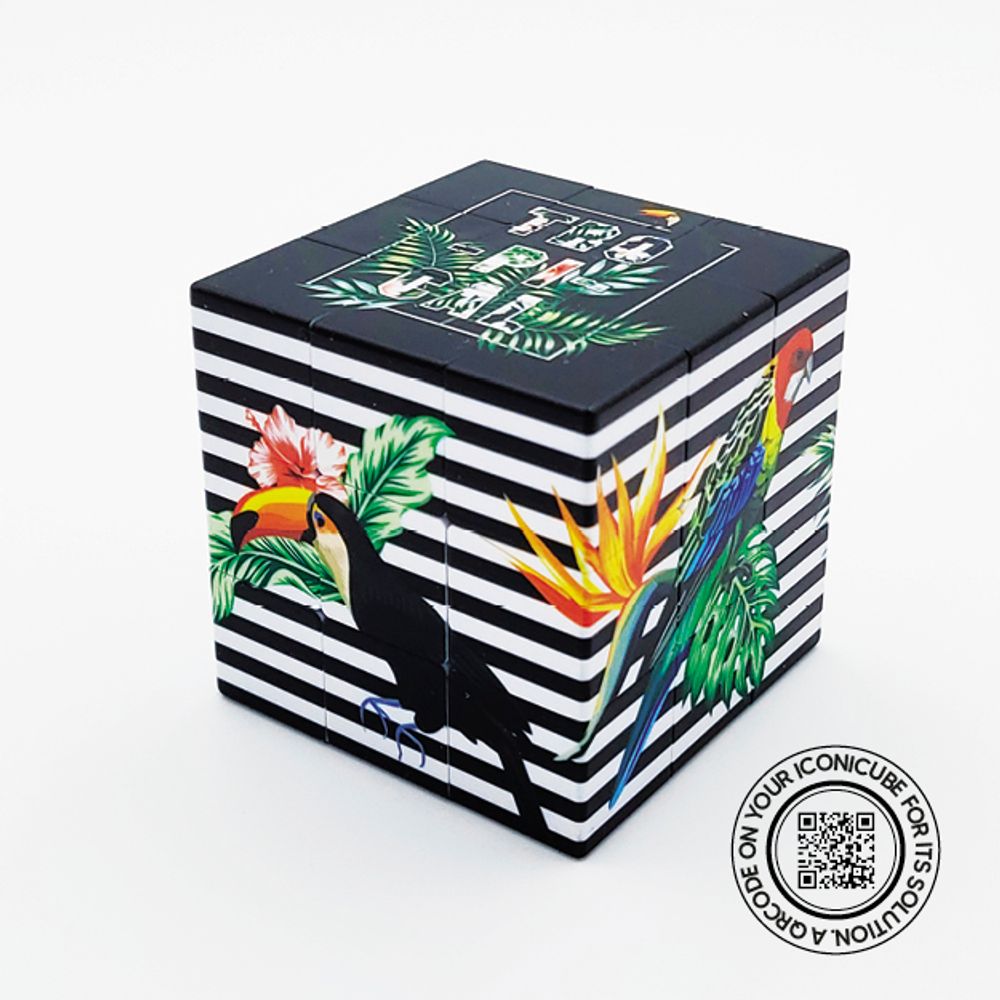 Objets de décoration - ICONICUBE DESIGNCOLLECTION TROPICAL - ICONICUBE