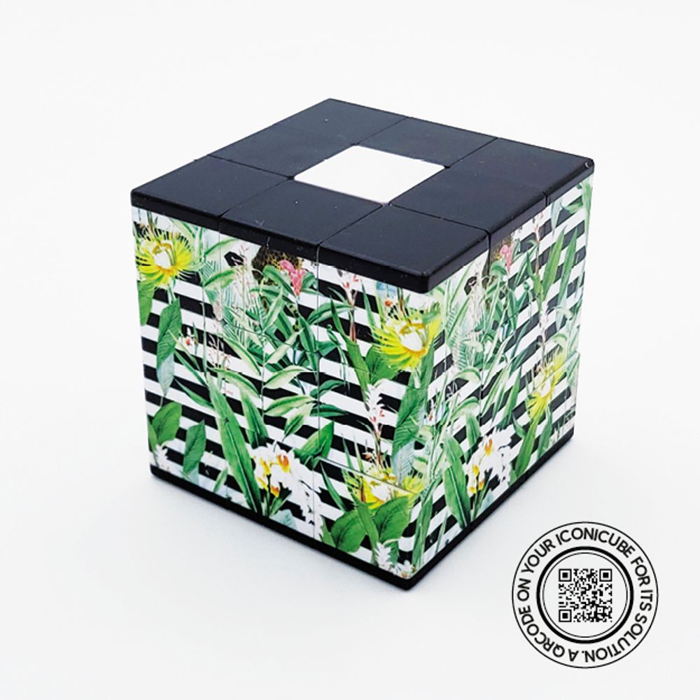 Objets de décoration - ICONICUBE DESIGNCOLLECTION TROPICAL - ICONICUBE