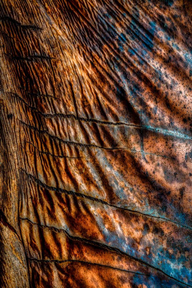 Art photos - Abstractions Traveler Photo  - SAILS & RODS