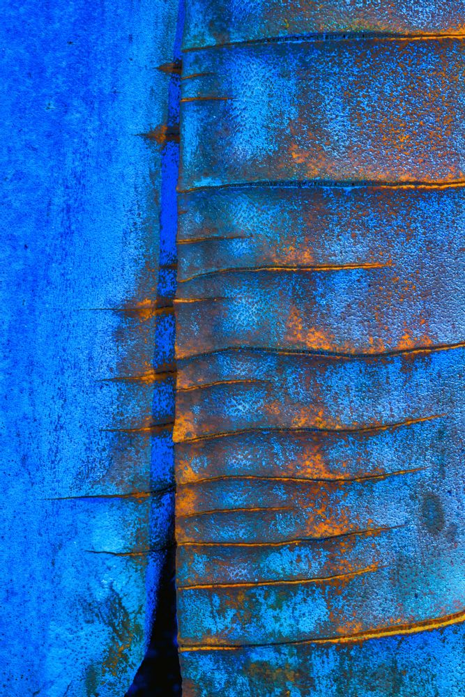 Art photos - Abstractions Traveler Photo  - SAILS & RODS