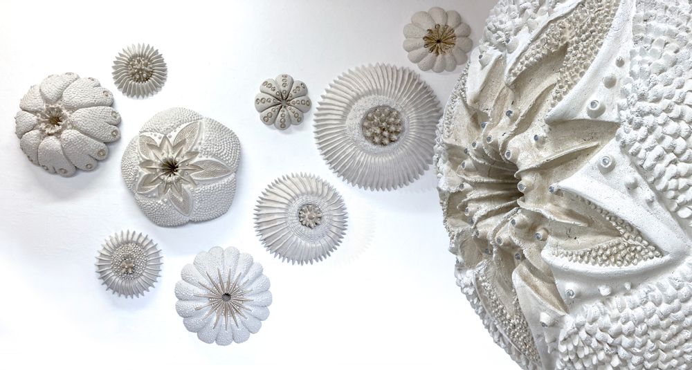 Decorative objects - KORALS wall decoration - VERO REATO