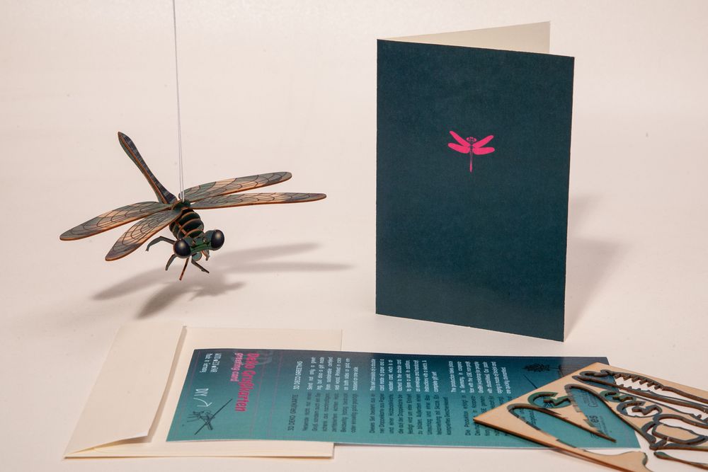 Loisirs créatifs pour enfant - Cartes PopUp et Déco 3D - FORMES BERLIN