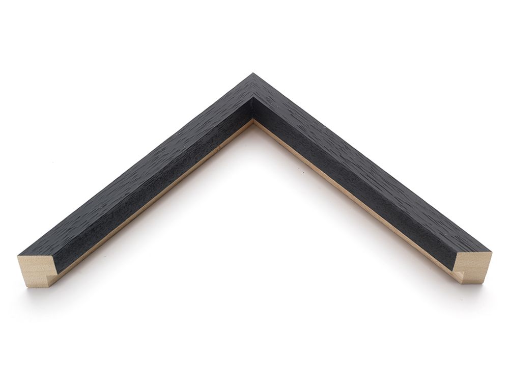 Photos d'art - Décoration murale. Ash and Moss II - ABLO BLOMMAERT