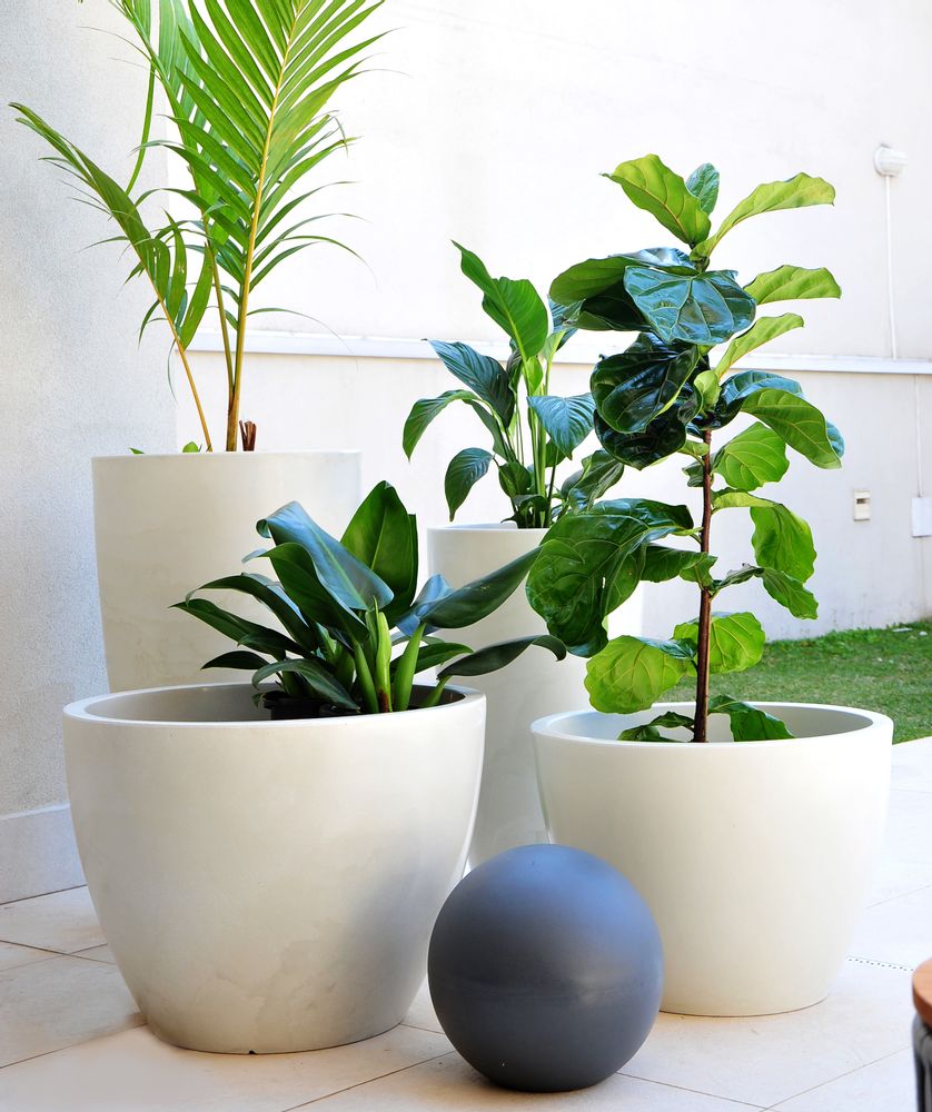 Vases - Vase Verone 60x45 cm - VASART