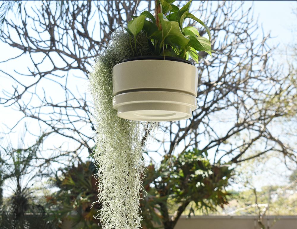 Vases - Vase Urban Rio Suspendu 25x12 cm - VASART
