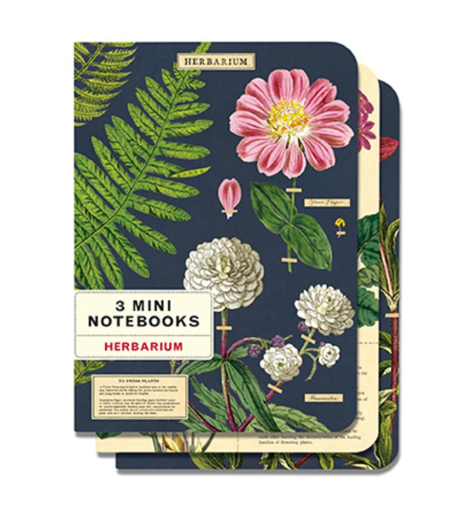 Stationery - Mini Notebooks - CAVALLINI PAPER & CO.