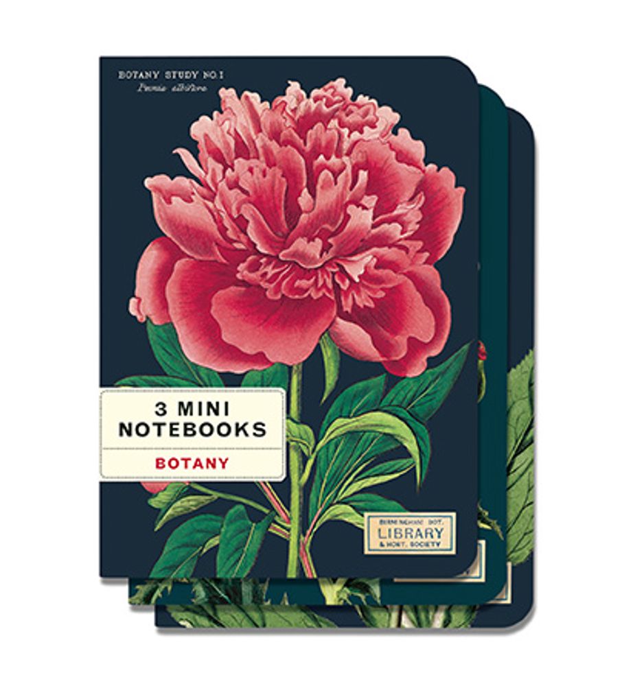 Stationery - Mini Notebooks - CAVALLINI PAPER & CO.