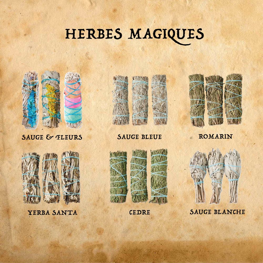 Senteurs - HERBES MAGIQUES ET BOIS SACRE - BAZARTHERAPY EDITION