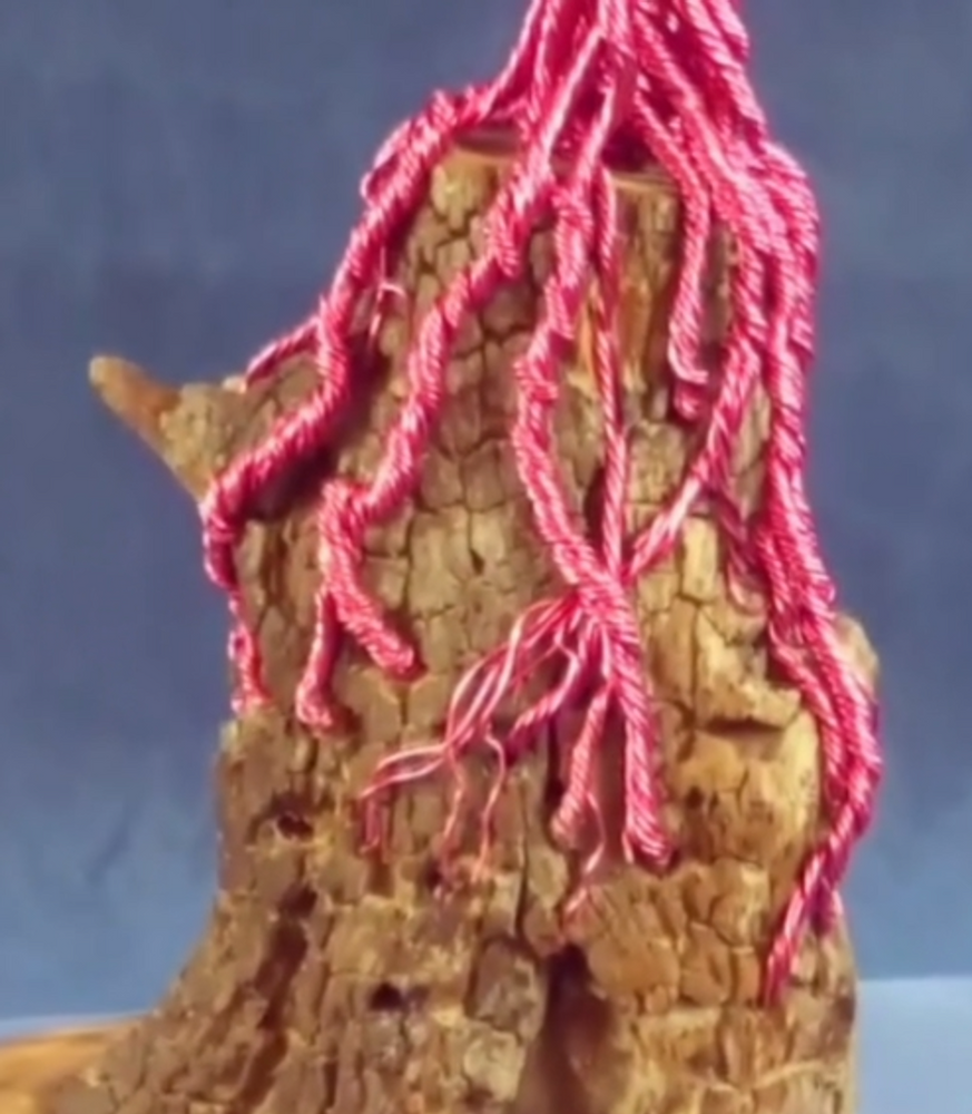 Objets design - ZEN BONSAI - MOSCHE BIANCHE