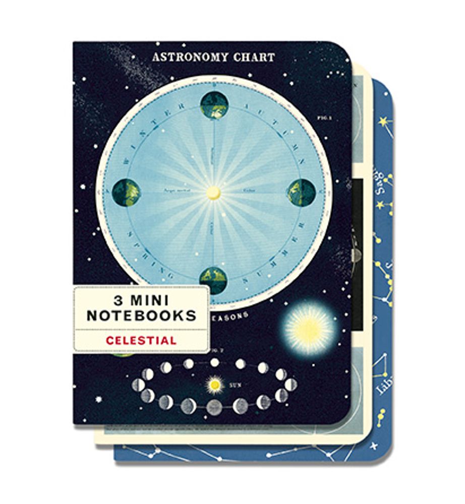 Stationery - Mini Notebooks - CAVALLINI PAPER & CO.