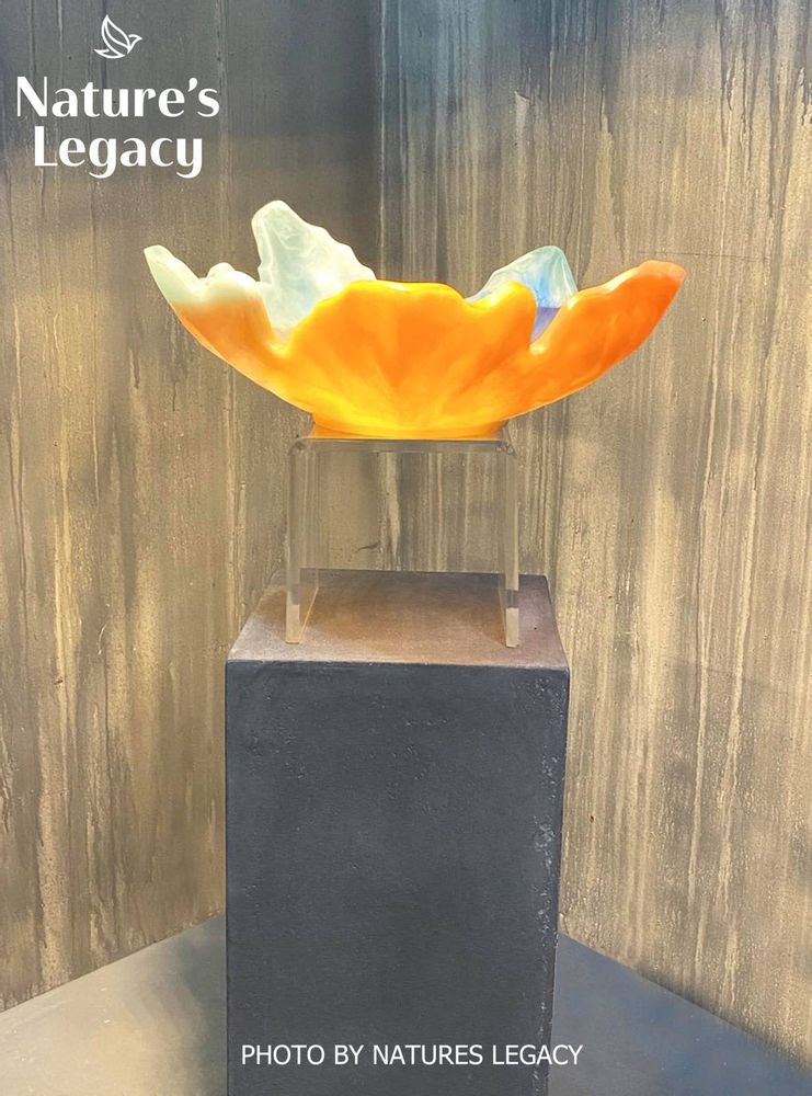 Decorative objects - Maple Bowl - NATURE'S LEGACY