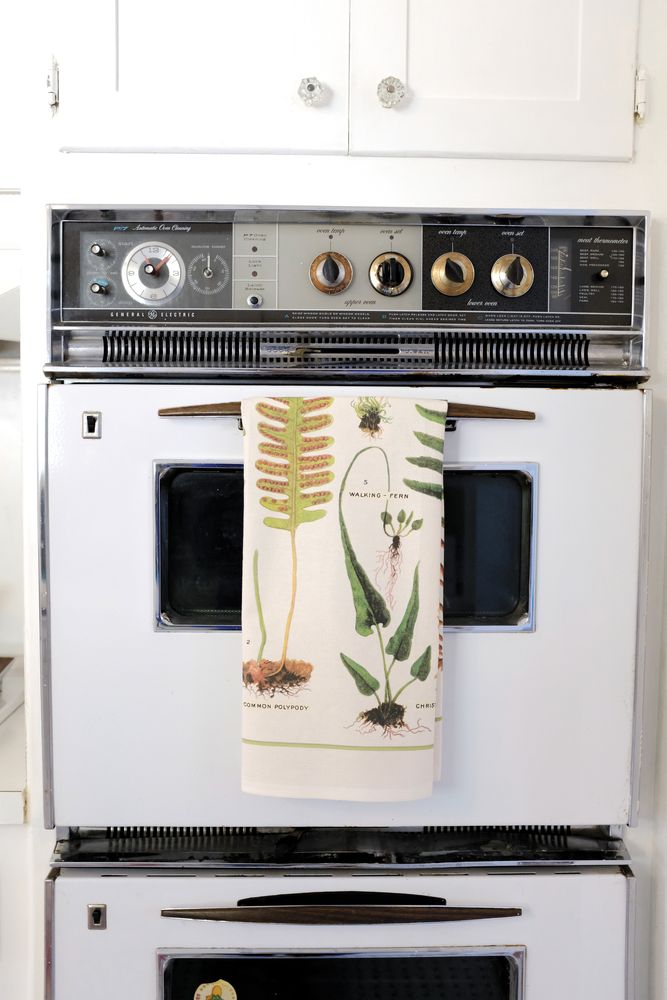 Dish towels - Cavallini's tea towels - CAVALLINI PAPER & CO.