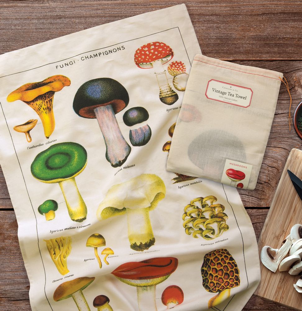 Dish towels - Cavallini's tea towels - CAVALLINI PAPER & CO.