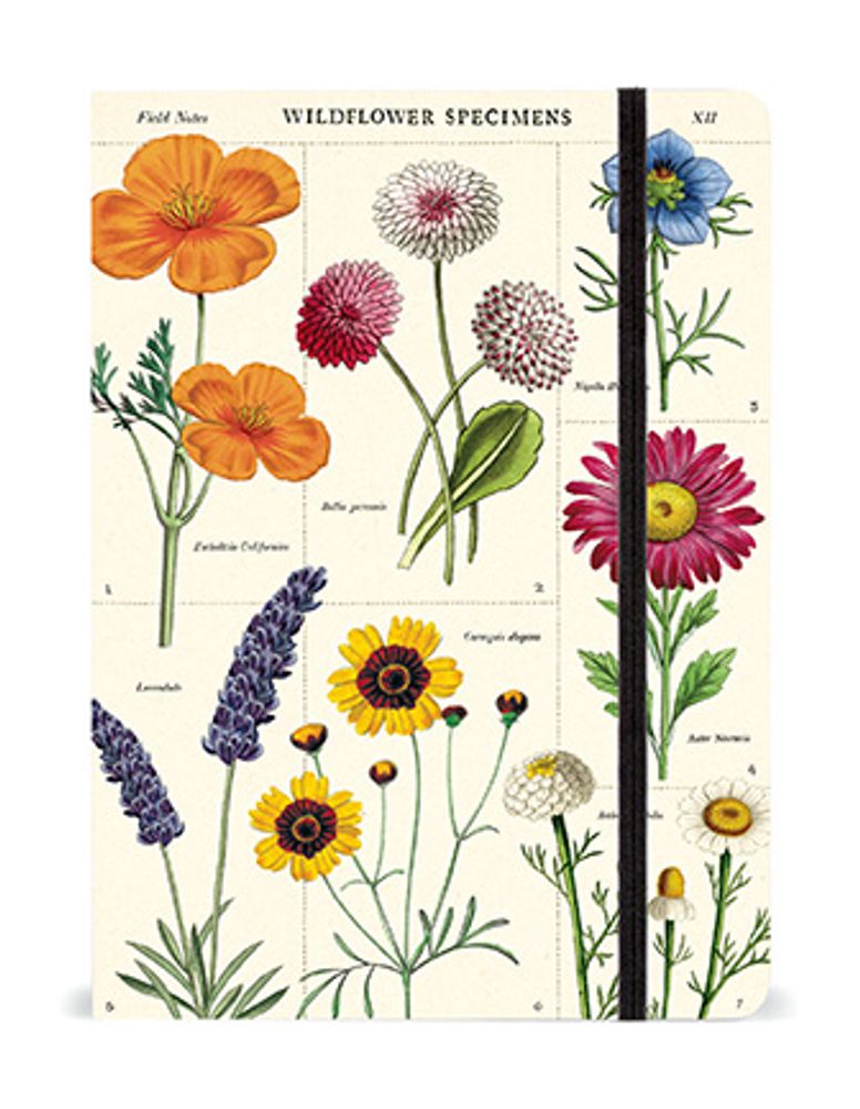 Papeterie - Grand Carnet à fermeture élastique - CAVALLINI PAPER & CO.