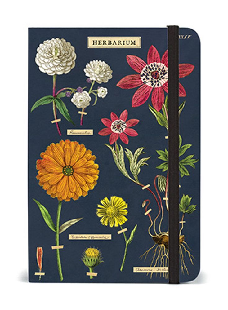 Papeterie - Grand Carnet à fermeture élastique - CAVALLINI PAPER & CO.