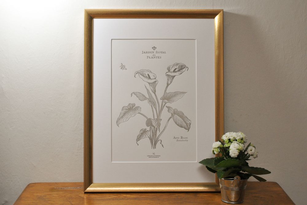Affiches - Tirage d'Art Arum Blanc - L'ATELIER LETTERPRESS