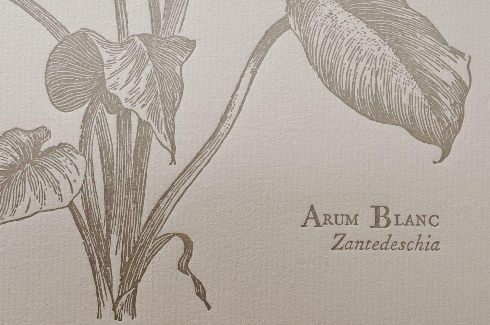 Affiches - Tirage d'Art Arum Blanc - L'ATELIER LETTERPRESS