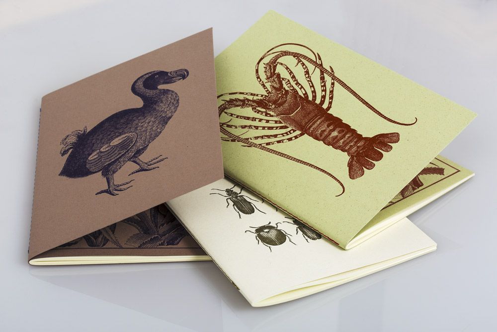 Stationery - Rossi 1931 - ROSSI 1931