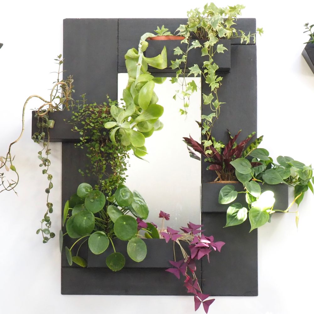 Spa - Slate Mirror 4 Planters - LE TRÈFLE BLEU