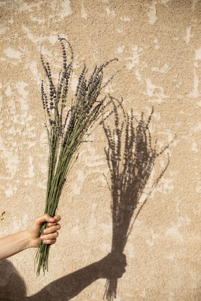 Décorations florales - Lavanda bouquet naturel de fleurs séchées 80 gr AX21028 - ANDREA HOUSE