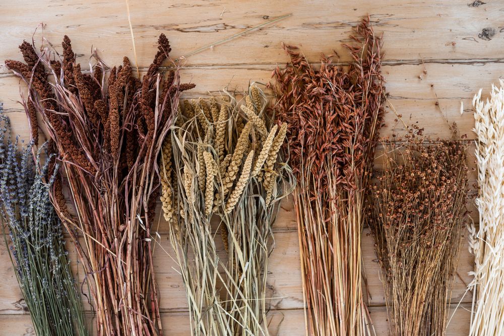 Décorations florales - Lavanda bouquet naturel de fleurs séchées 80 gr AX21028 - ANDREA HOUSE