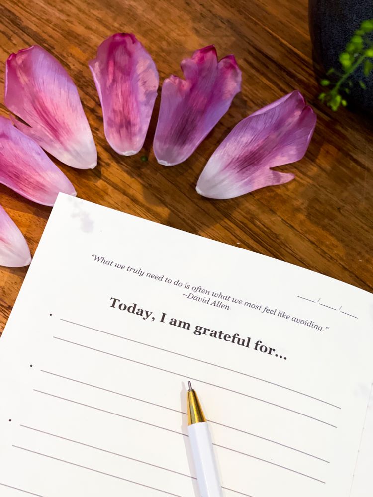 Cadeaux - Récompensé : The Gratitude List I Meilleur vendeur - THE GRATITUDE LIST