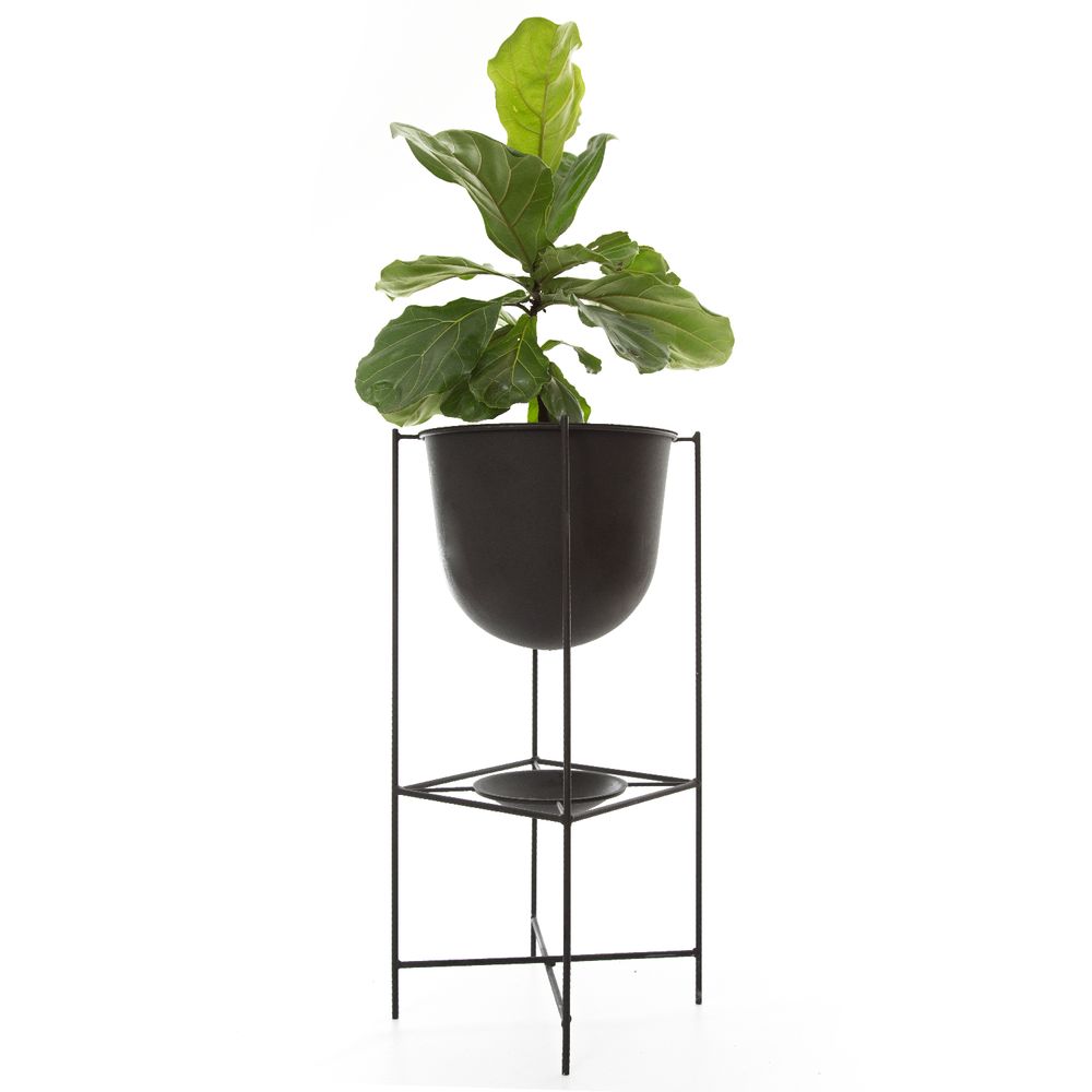 Decorative objects - Oval Large Flower Pot - DESIGN ROOM COLOMBIA