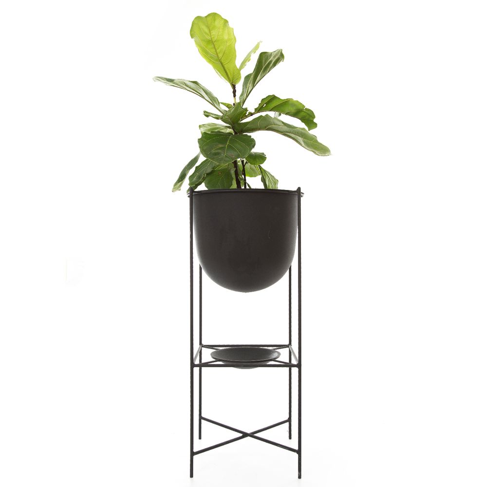 Decorative objects - Oval Large Flower Pot - DESIGN ROOM COLOMBIA