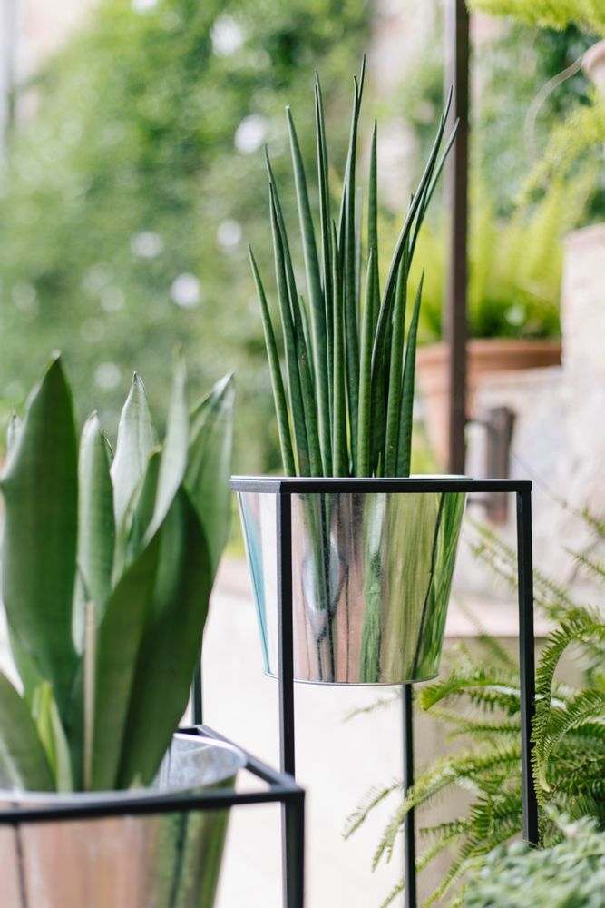 Flower pots - Black Metal Pot AX70036 - ANDREA HOUSE