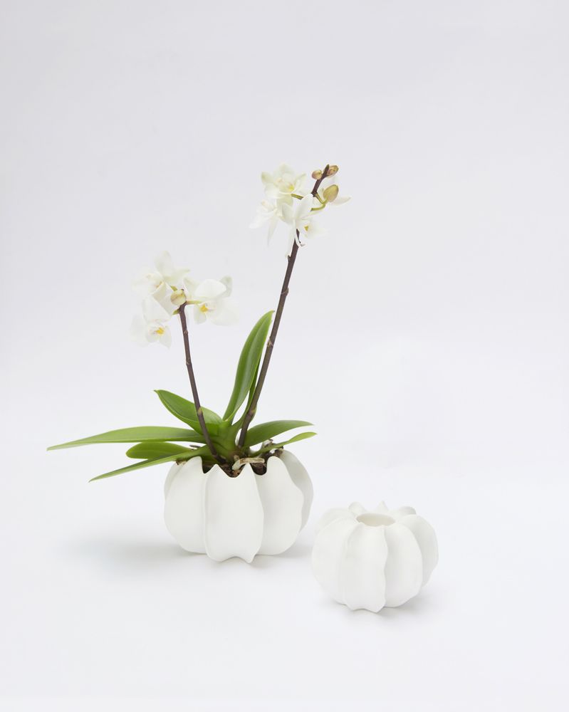Objets design - Vase VAYA II en biscuit de porcleaine D=10cm H=6,5cm. - YLVAYA DESIGN