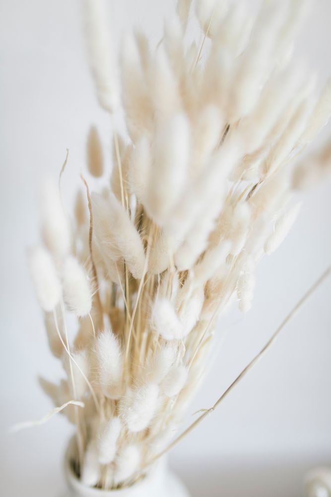 Floral decoration - Lagurus Natural Dried Flower Bouquet AX70125 - ANDREA HOUSE