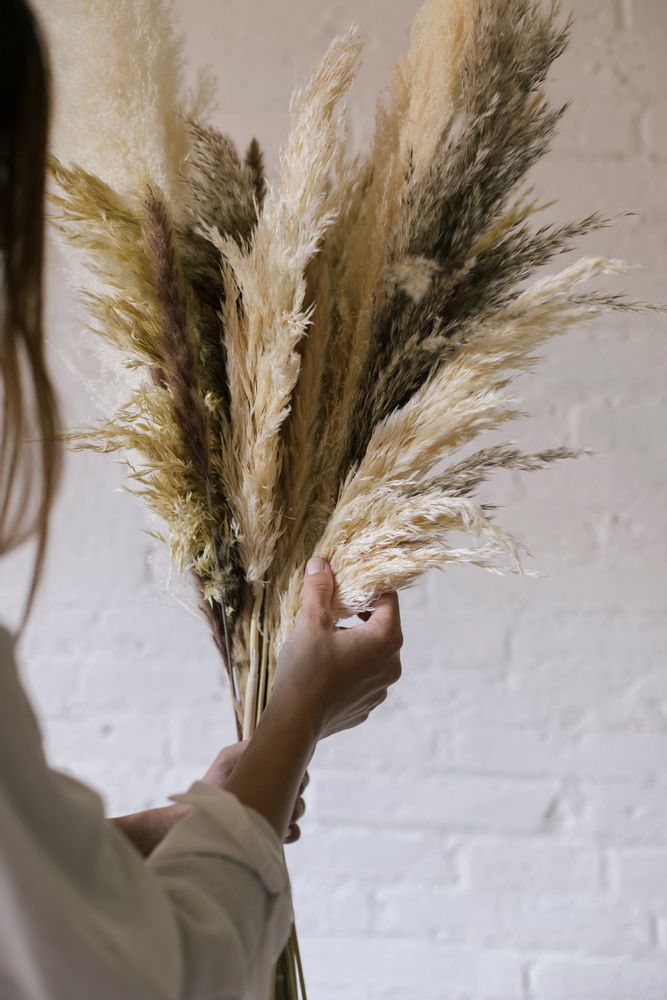 Floral decoration - Natural Natural Pampas Dried Flower 3pcs. AX70130 - ANDREA HOUSE