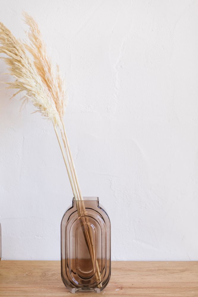 Floral decoration - Cream Pampas natural dried flower 3pcs. AX70132 - ANDREA HOUSE