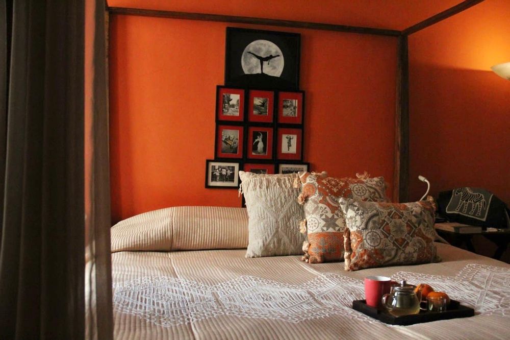 Fabric cushions - Coral Collection Cushions - 19SIDES BY  SHIVAM