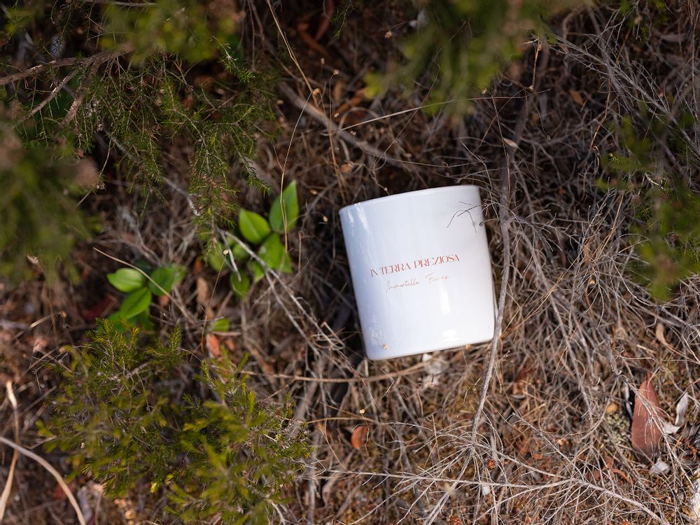 Objets de décoration - Bougie - Immortelle Forever  - IN TERRA PREZIOSA