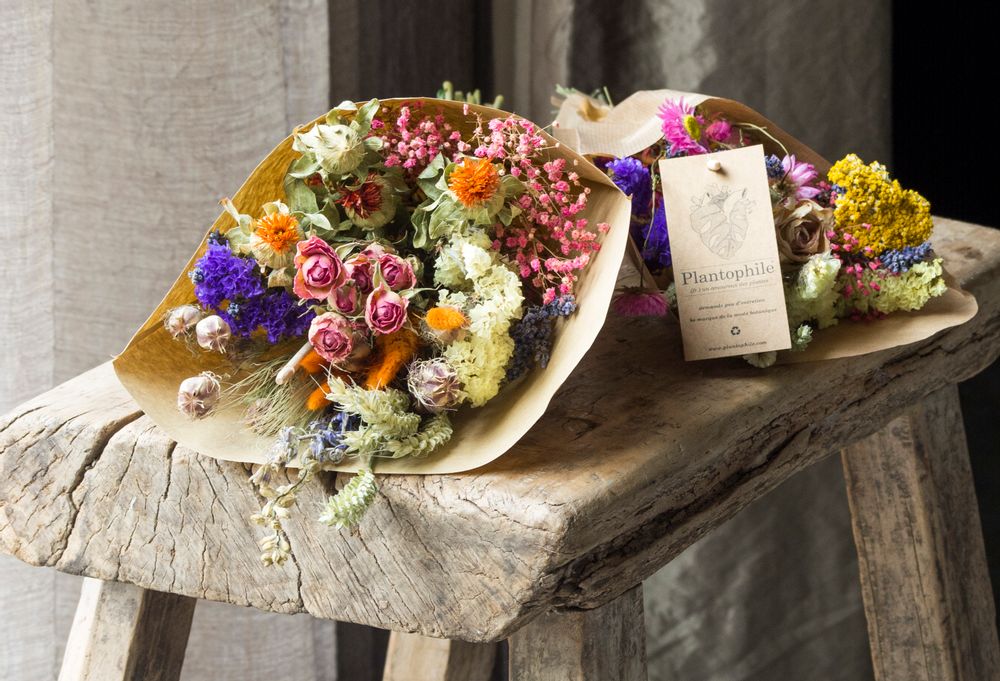Cadeaux - E-COMMERCE bouquet de fleurs sechées (pré emballé) - PLANTOPHILE