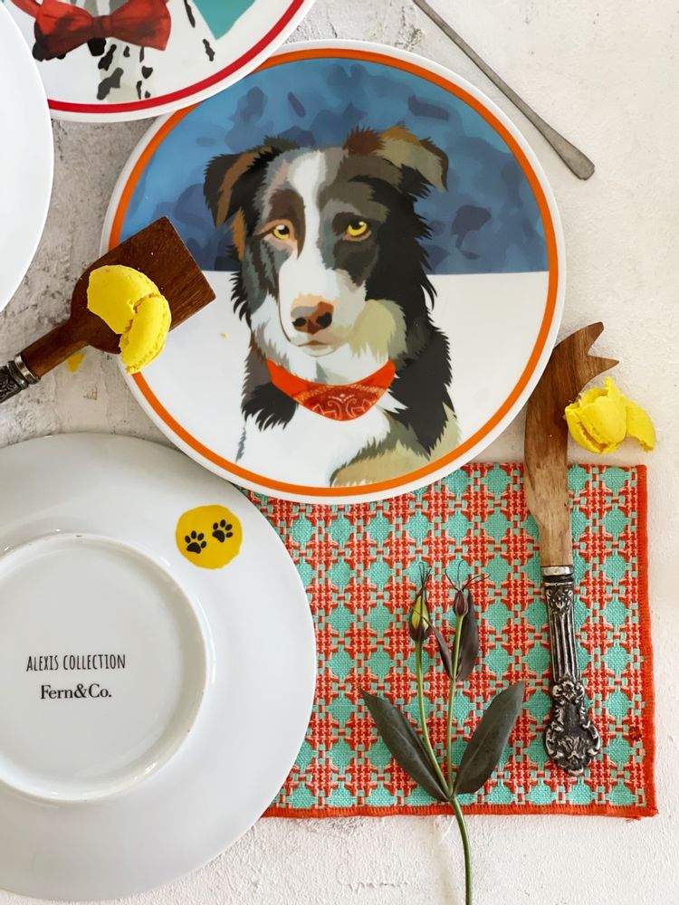 Everyday plates - Alexis Collection - FERN&CO.