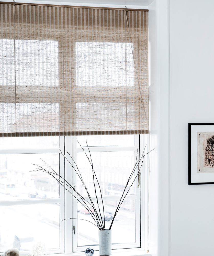 Curtains and window coverings - Brown plant striped roller blind - COLOR & CO