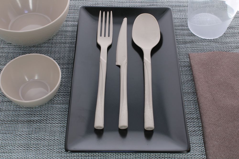Assiettes au quotidien - ENSEMBLE DE COUVERTS - MOJITO DESIGN