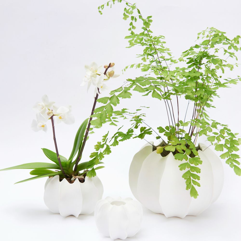 Objets design - Vase VAYA II en biscuit de porcleaine D=10cm H=6,5cm. - YLVAYA DESIGN